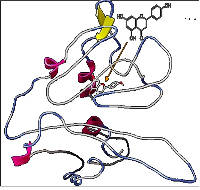 Research | Dr.Zarrabi Official Website-Fig-4 